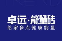 卓遠能量磚