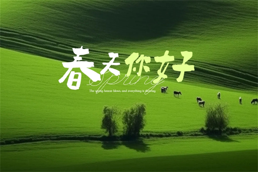 輔材也有春天：五個關鍵詞解讀貼得穩的行業樣本價值